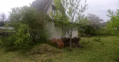 House in Rakauski sielski Saviet, Belarus