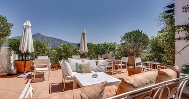 Apartment 6 bedrooms in San Pedro Alcantara, Spain