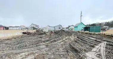 Участок земли в Чернавчицкий сельский Совет, Беларусь