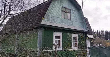 House in Valievacski sielski Saviet, Belarus