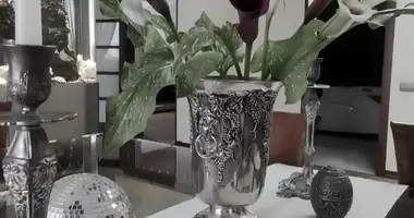 3 room apartment in Minsk, Belarus