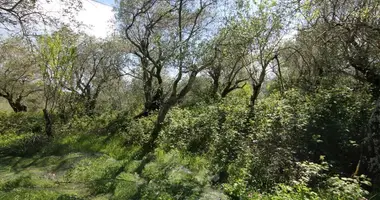 Grundstück in Kato Agios Markos, Griechenland