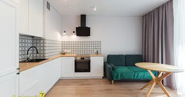 2 room apartment in Minsk, Belarus