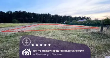 Участок земли в Гливин, Беларусь