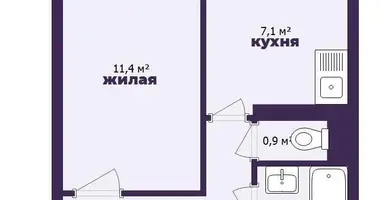 1 room apartment in Minsk, Belarus