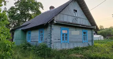 House in Michaliskauski sielski Saviet, Belarus