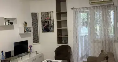 Apartamento 1 habitacion en Montenegro