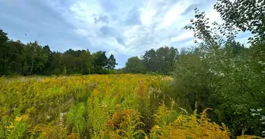 Terrain dans Gdynia, Pologne