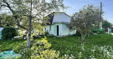 House in Zabalocki sielski Saviet, Belarus