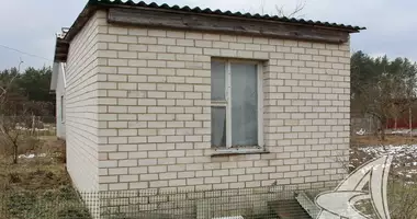 Maison dans cerninski sielski Saviet, Biélorussie