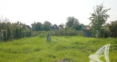 Plot of land in Telminski sielski Saviet, Belarus