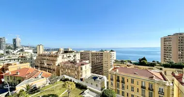 1 bedroom apartment in Monaco
