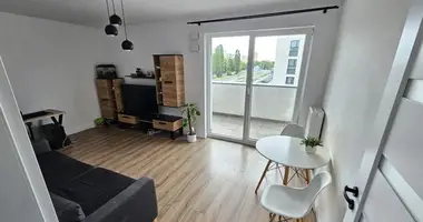 1 bedroom apartment in Warsaw, Poland