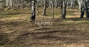 Terrain dans Sokolsky District, Fédération de Russie