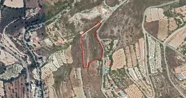 Grundstück in Laneia, Cyprus