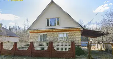 House in Pleshchanitsy, Belarus