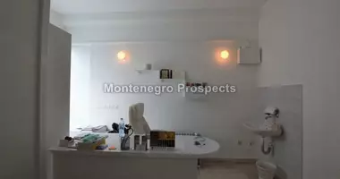 Commercial property 48 m² in Montenegro