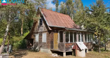 Haus in Roda, Litauen