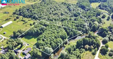 Plot of land in Baltoji Voke, Lithuania