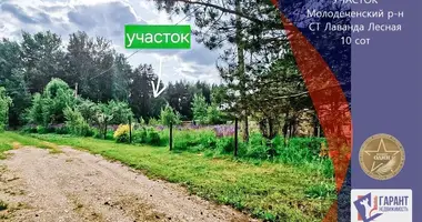 Участок земли в Радошковичский сельский Совет, Беларусь