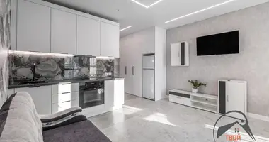 1 room apartment in Minsk, Belarus