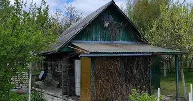 Haus in Zabalocki selski Savet, Belarus