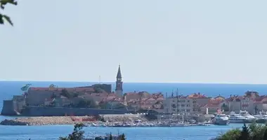 Dom 9 pokojów w Budva, Czarnogóra