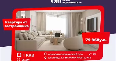 Квартира 1 комната в Копище, Беларусь