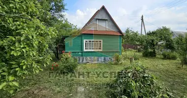 Haus in cerninski siel ski Saviet, Weißrussland