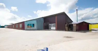 Oficina 1 351 m² en Kirsy, Belarús