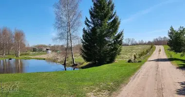 Grundstück in Kelm, Litauen