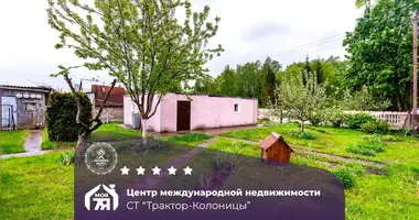 Haus in Papiarnianski sielski Saviet, Belarus