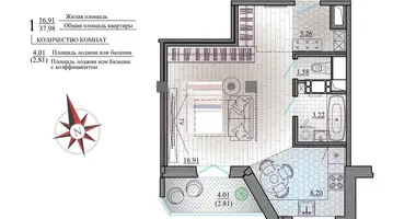 1 room apartment in Minsk, Belarus