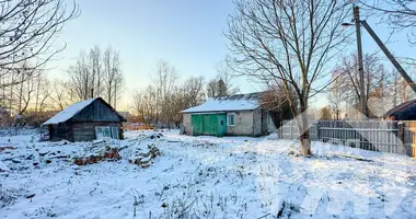 Casa en Losnicki siel ski Saviet, Bielorrusia