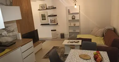 Mieszkanie 1 pokój w Czarnogóra