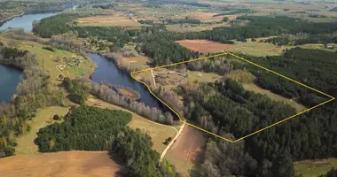 Plot of land in Radiliskes, Lithuania