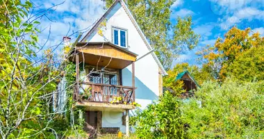 House in Resort Town of Sochi (municipal formation), Russia