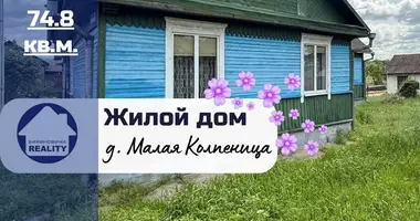 Haus in Malaja Kaupienica, Belarus