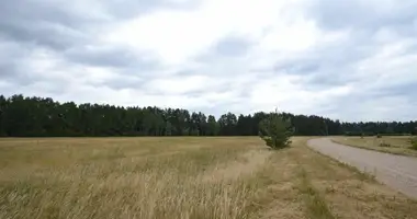 Plot of land in adazu novads, Latvia