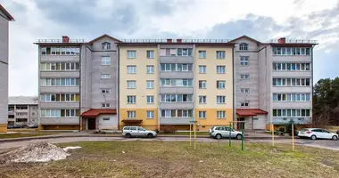2 room apartment in Lahoysk, Belarus