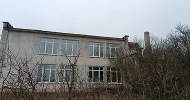 Commercial property 503 m² in Januskavicki sielski Saviet, Belarus