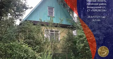 Haus in Bialarucki sielski Saviet, Belarus