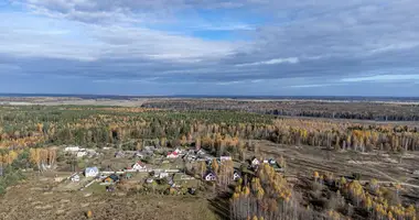 Maison dans Turynski siel ski Saviet, Biélorussie