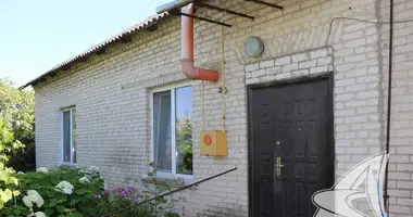 House in Dzmitrovicki sielski Saviet, Belarus