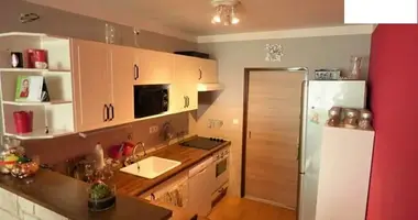 3 bedroom apartment in Melnik, Czech Republic