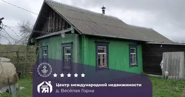 Casa en Turynski siel ski Saviet, Bielorrusia