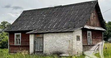 House in Novyja Lyscycy, Belarus