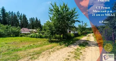 Działka w Haranski sielski Saviet, Białoruś