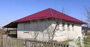 House in Zhabinka, Belarus