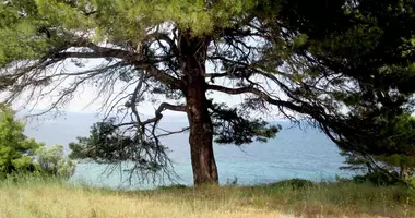 Grundstück in The Municipality of Sithonia, Griechenland